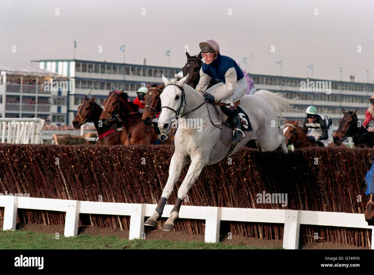Courses hippiques.Desert Orchid va au-dessus de la dernière clôture de la course.Coupe d'or Cheltenham Banque D'Images