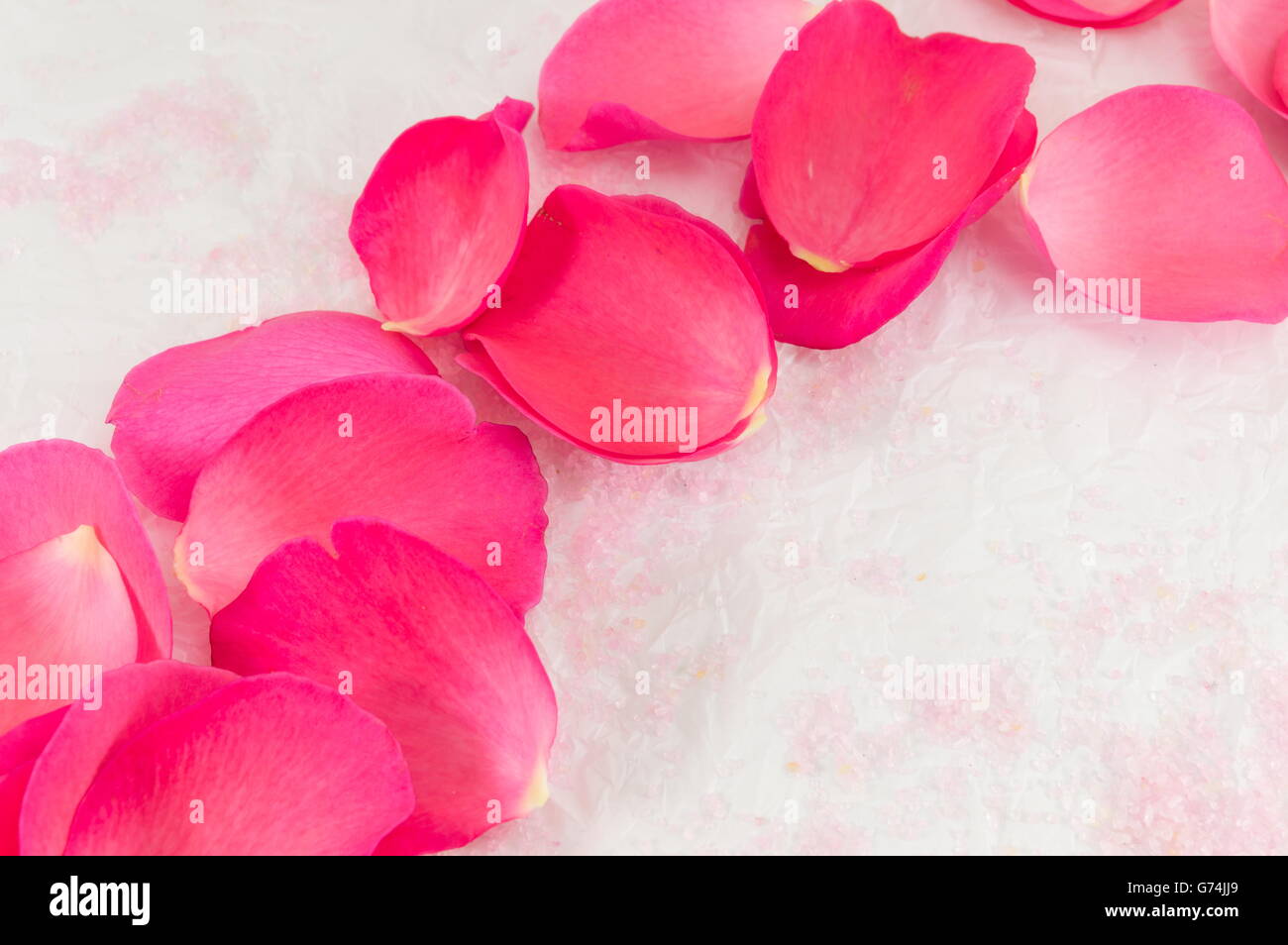 Rose rose sur des pétales de rose et les grains de sel de bain Banque D'Images