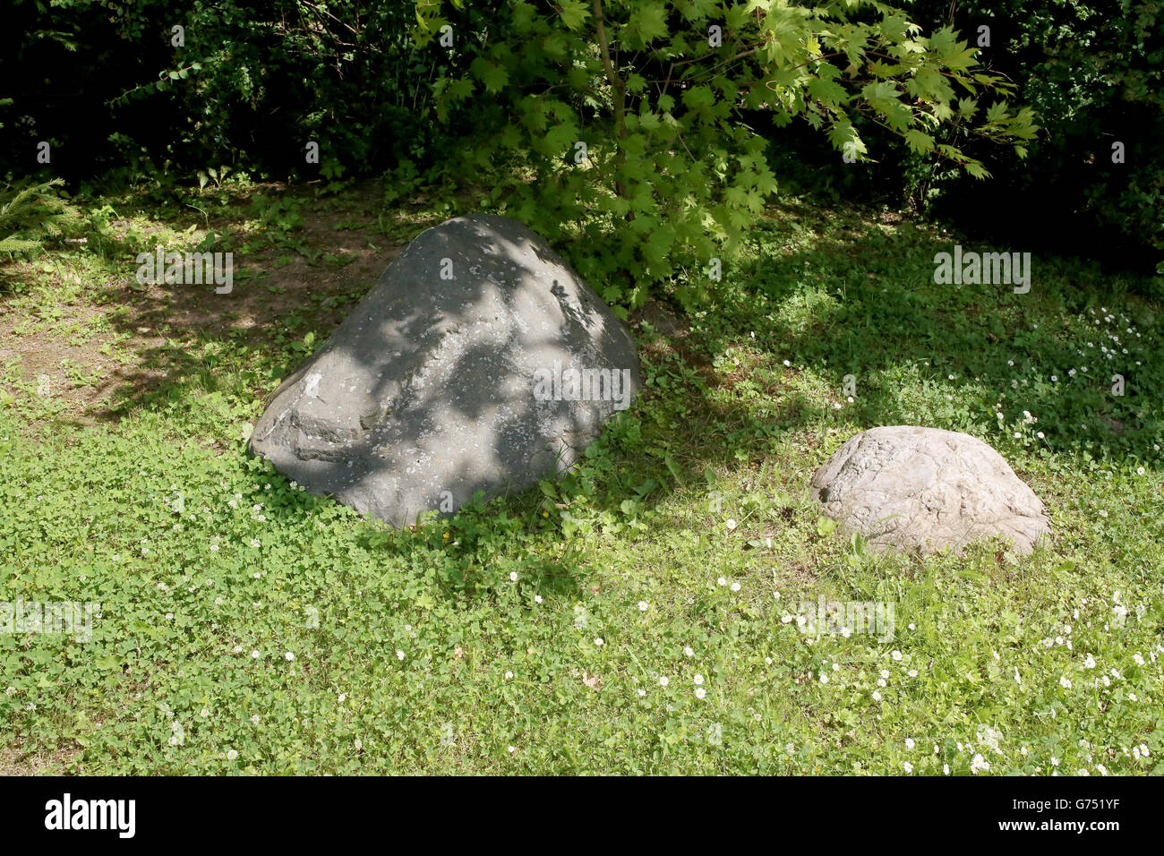 Les pierres dans la forêt d'été Banque D'Images