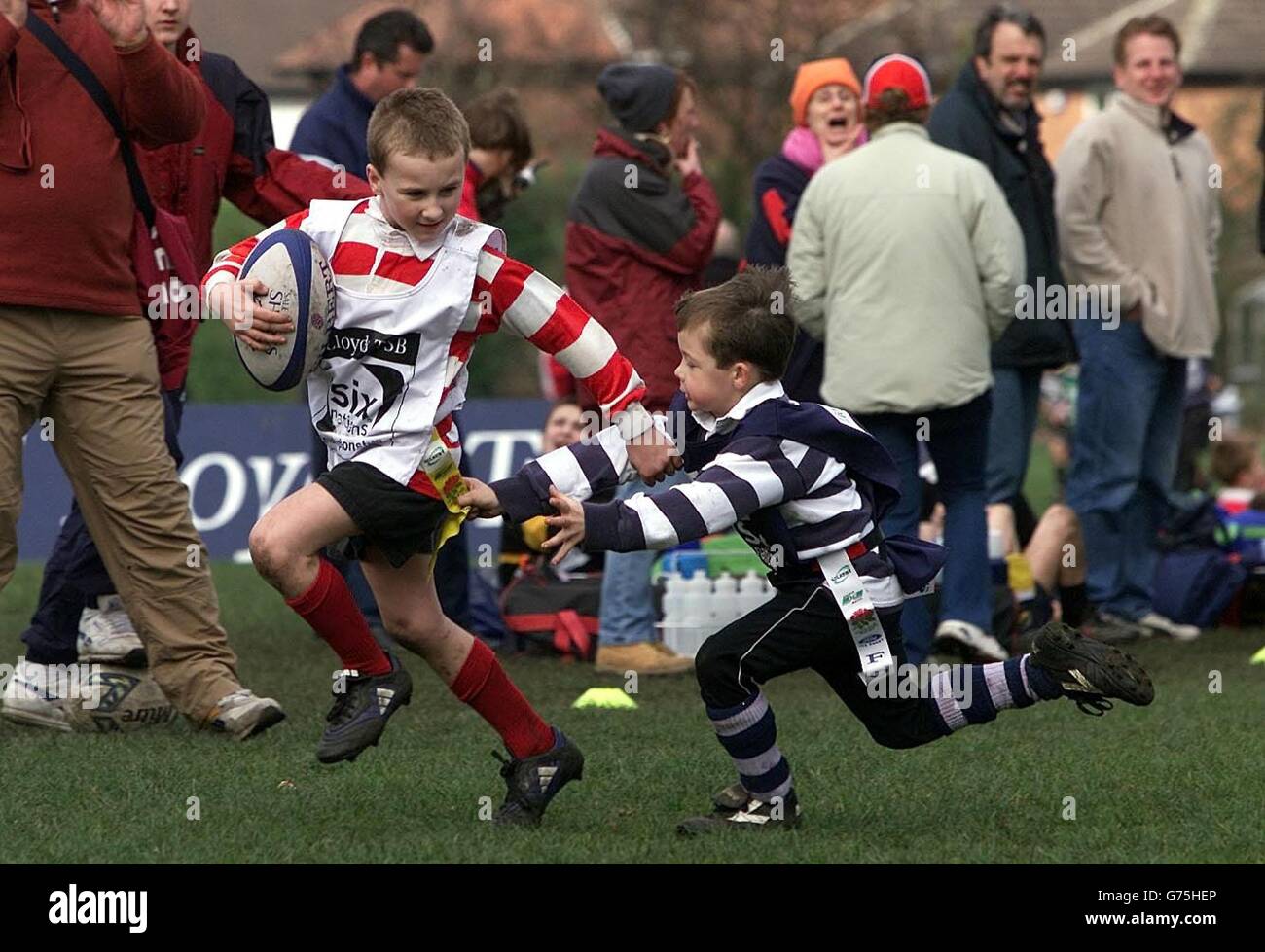 Les enfants de la région de Manchester participent au Lloyds TSB Mini Rugby Festival à sale, Manchester. Banque D'Images