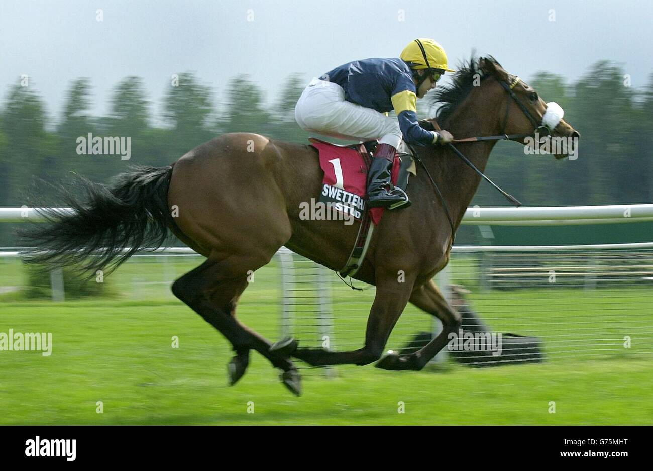 Monturani, monté par Darryll Holland, remporte les piquets du procès Swettenham Stud Fillies, à Newbury, Berkshire. Banque D'Images