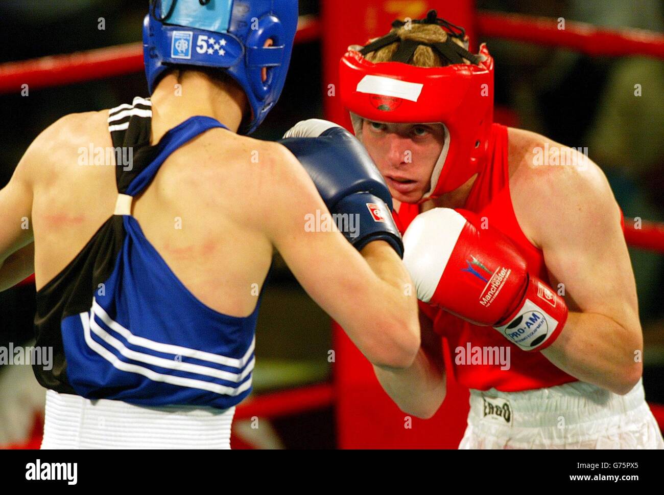 Mark Hastie (bleu) d'Écosse en action contre Jamie Arthur du pays de  Galles, pendant les Jeux du Commonwealth 60kg Boxe préliminaires au Forum  Center, Wythenshawe, Manchester Photo Stock - Alamy