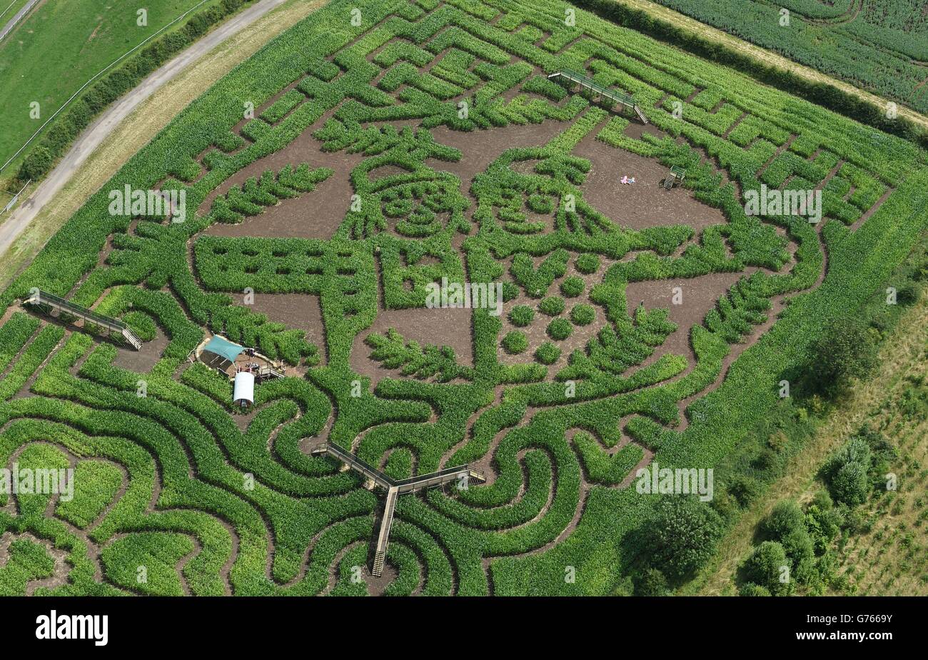 Le mariage de l'Épouvantail maze Banque D'Images
