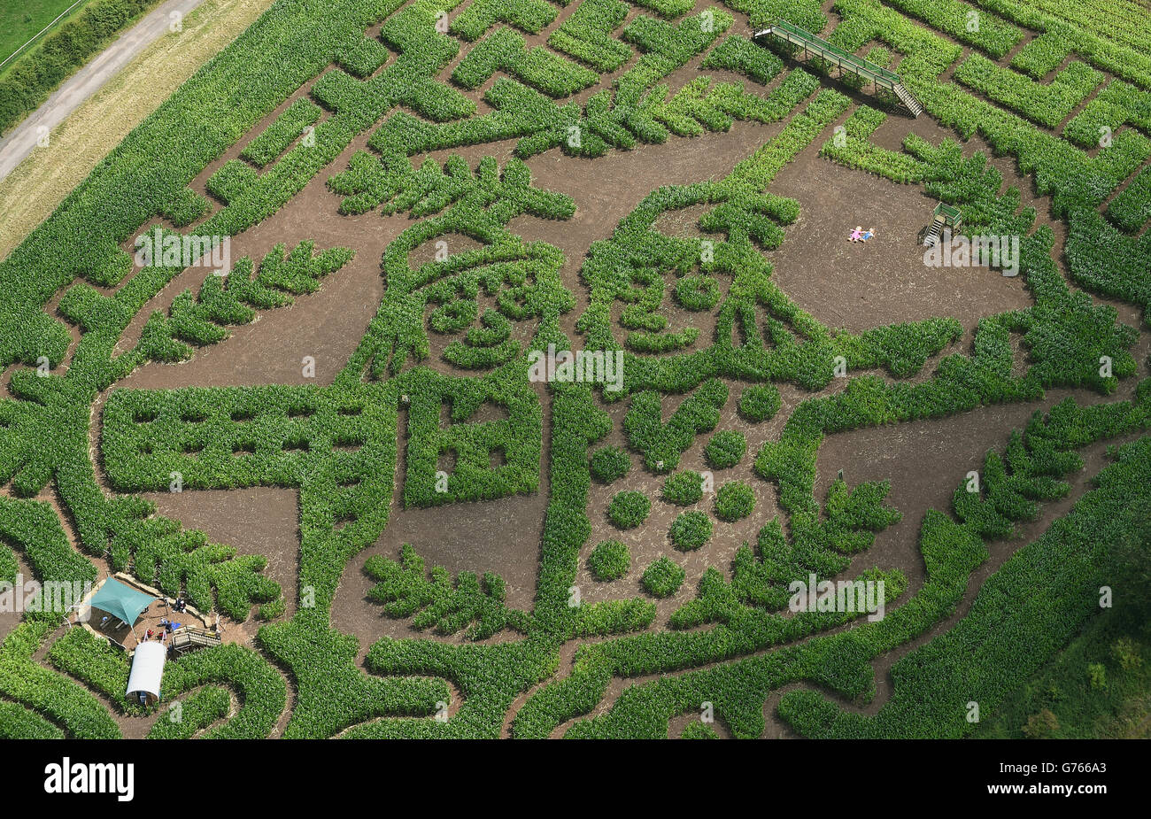 Le mariage de l'Épouvantail maze Banque D'Images