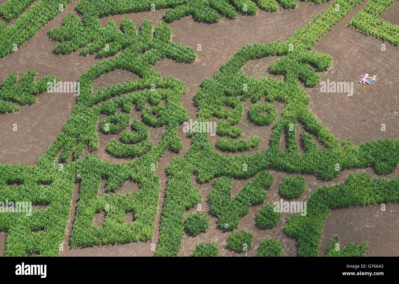 Le mariage de l'Épouvantail maze Banque D'Images