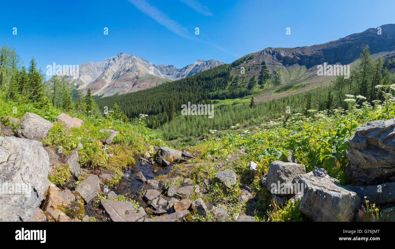 Pré alpin avec des montagnes escarpées des montagnes Rocheuses de l'Alberta Canada Kananaskis Banque D'Images
