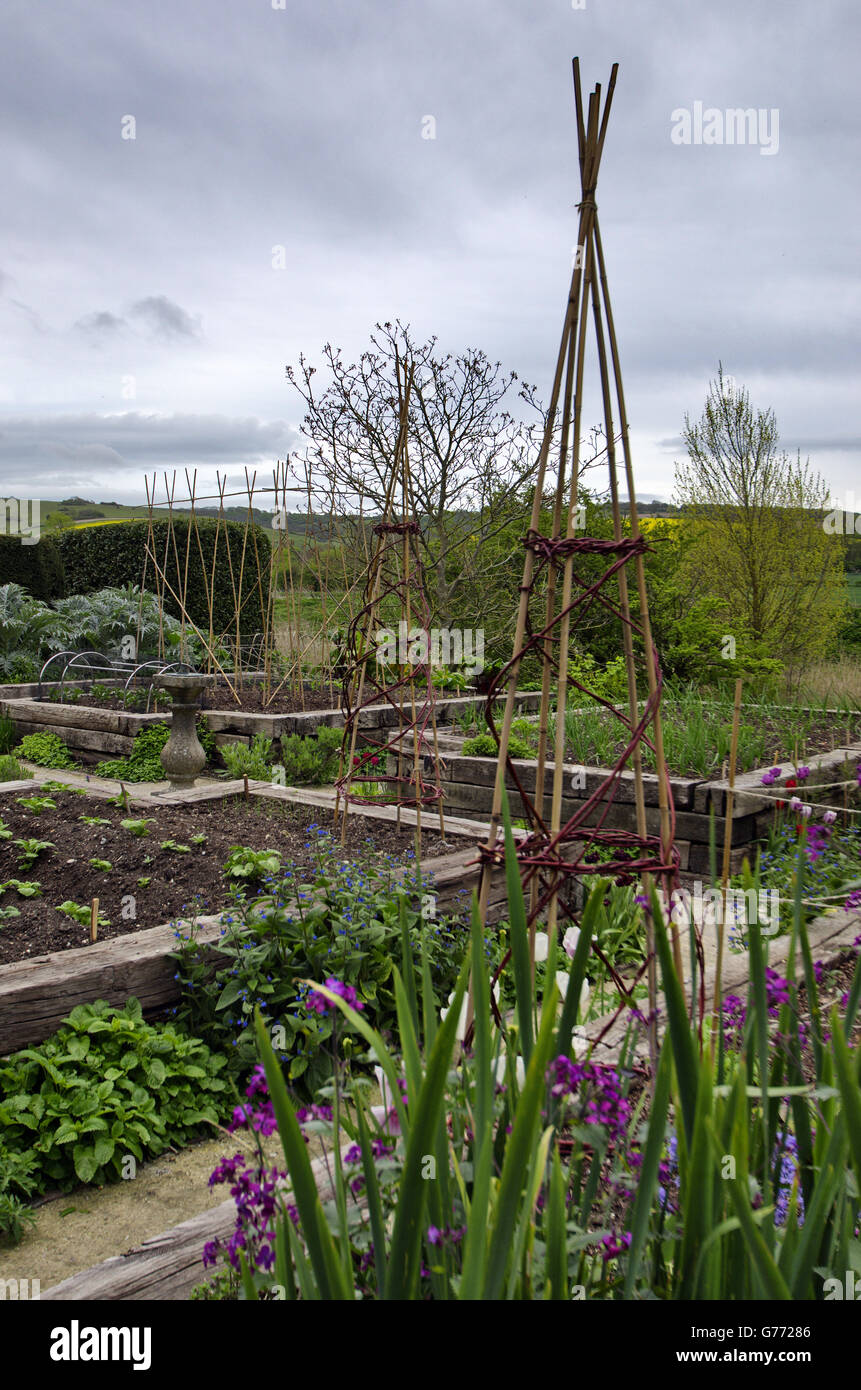 Les cannes et de lits surélevés dans le potager à la maison du clergé, Alfriston, East Sussex, UK. Banque D'Images