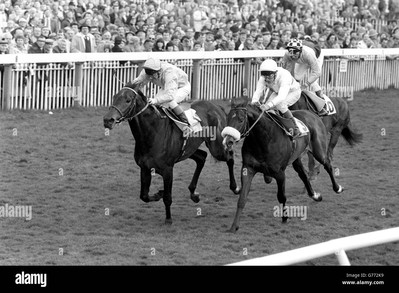 Gay Lemur (à gauche), monté par Geoff Baxter, remporte les enjeux de Glasgow à York, devant P Eddery sur Whisky Talk (n° 3) et Lester Piggott sur Soldier Ant. Banque D'Images