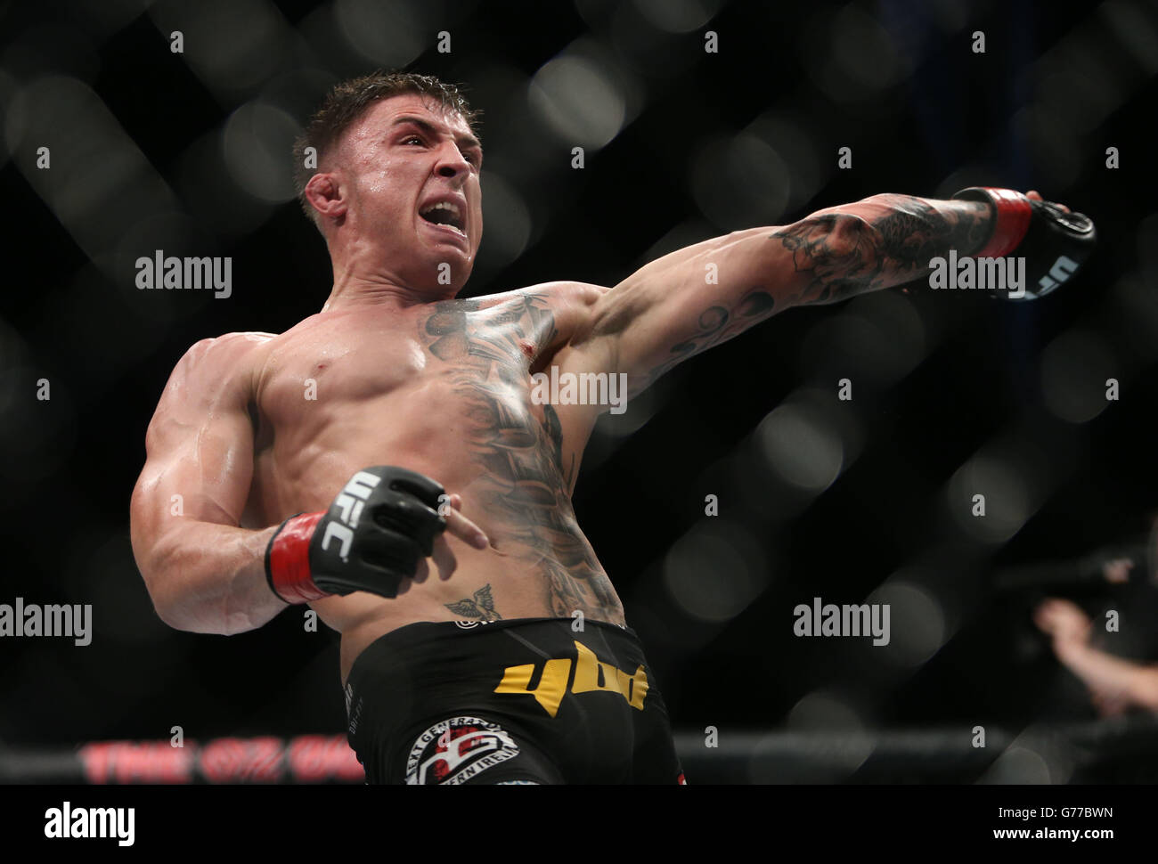 UFC Fight Night - Dublin.Norman Parke d'Irlande du Nord pendant la division légère de l'UFC combat contre Naoyuki Kotani à la nuit de combat de l'UFC à l'O2 à Dublin. Banque D'Images