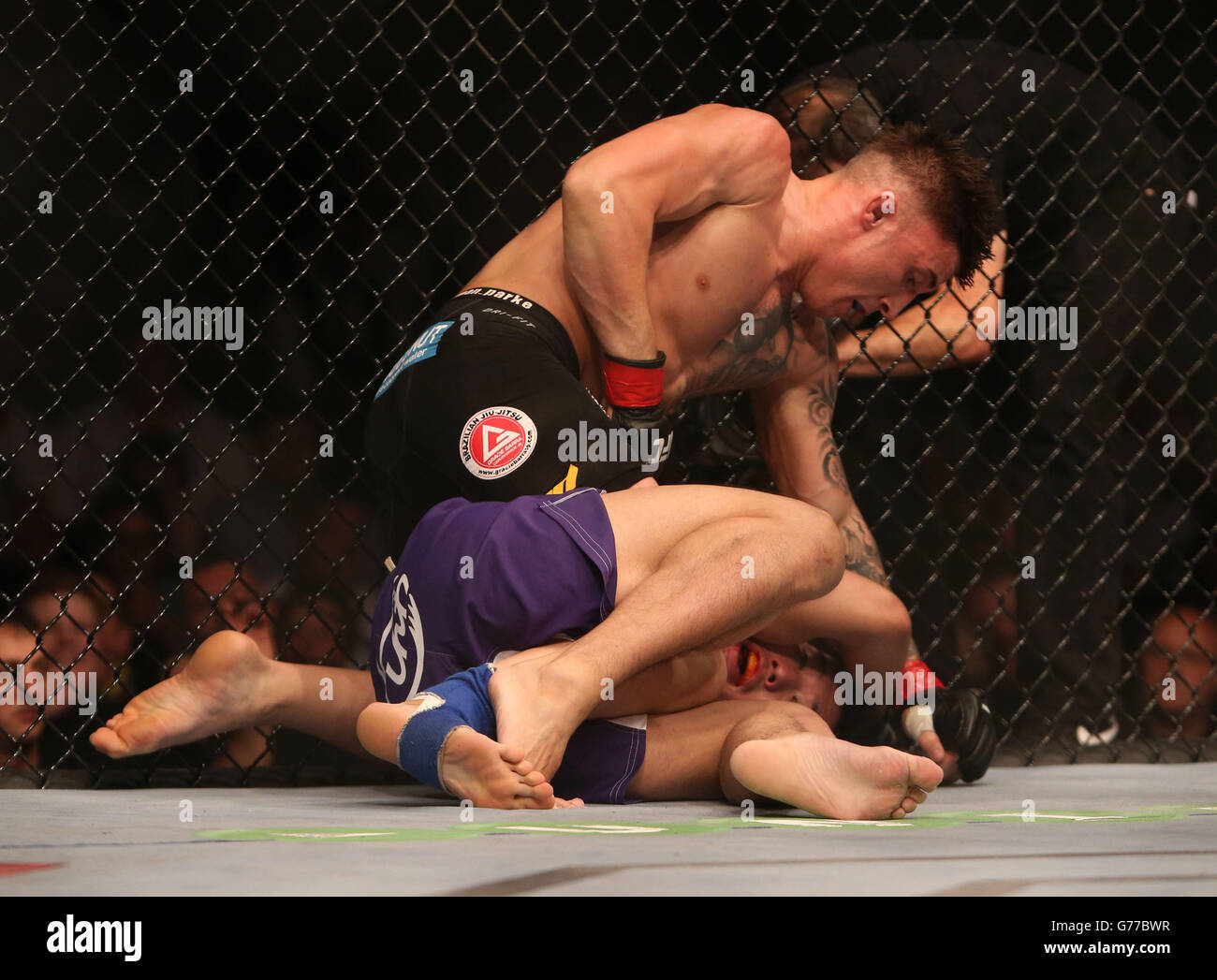 Norman Parke (en haut) d'Irlande du Nord pendant la division légère de l'UFC combat contre Naoyuki Kotani à la nuit de combat de l'UFC à l'O2 à Dublin. Banque D'Images
