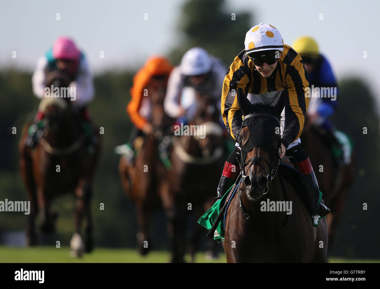 Un peu d'esprit monté par Colin Keane The Discover Ireland Dublin Horse Show Maiden à Leopardstown Racecourse, Dublin, Irlande. Banque D'Images