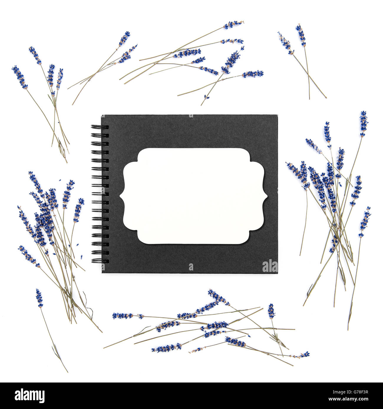 Fleurs de Lavande et couverture du livre papier avec étiquette. Floral frame à partir de plantes séchées. Arrière-plan de mise à plat Banque D'Images