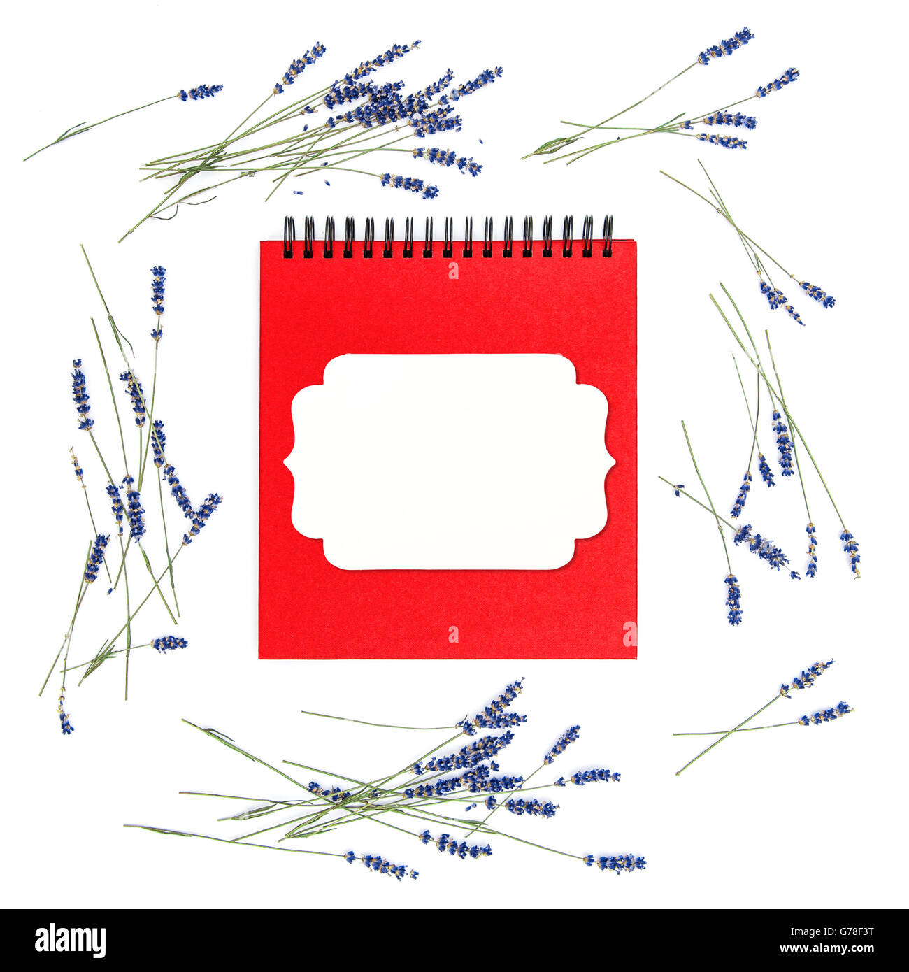 Fleurs de Lavande et de couverture de livre avec du papier blanc tag. Floral frame. Arrière-plan de mise à plat Banque D'Images