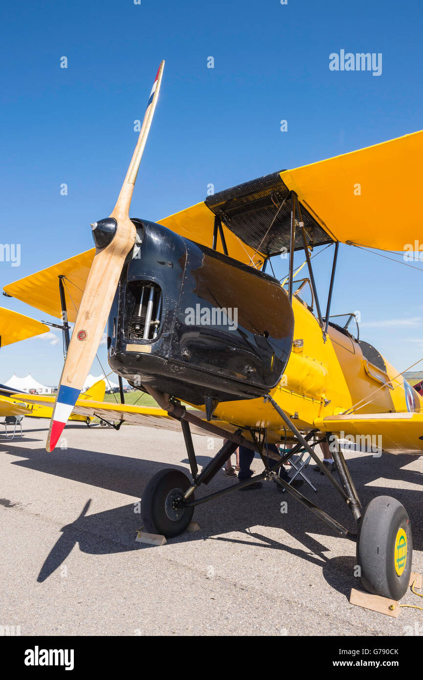 De Havilland DH.82 Tiger Moth, envolées, Springbank Springbank Airshow, Alberta, Canada Banque D'Images