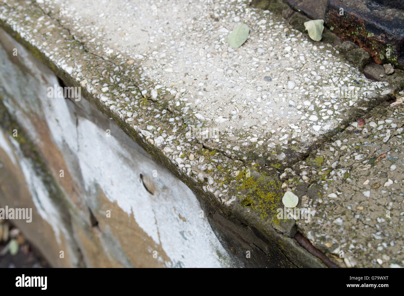 Vue de dessus sur une diagonale sur un fragment d'un vieux mur de béton et de marbre avec des fissures peu profondes avec couverts de mousse de Banque D'Images