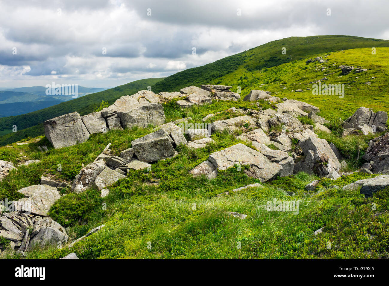 Paysage de montagne vallée. avec des pierres sur le flanc de la forêt. sur la montagne sous le faisceau de lumière tombe sur une clairière au th Banque D'Images