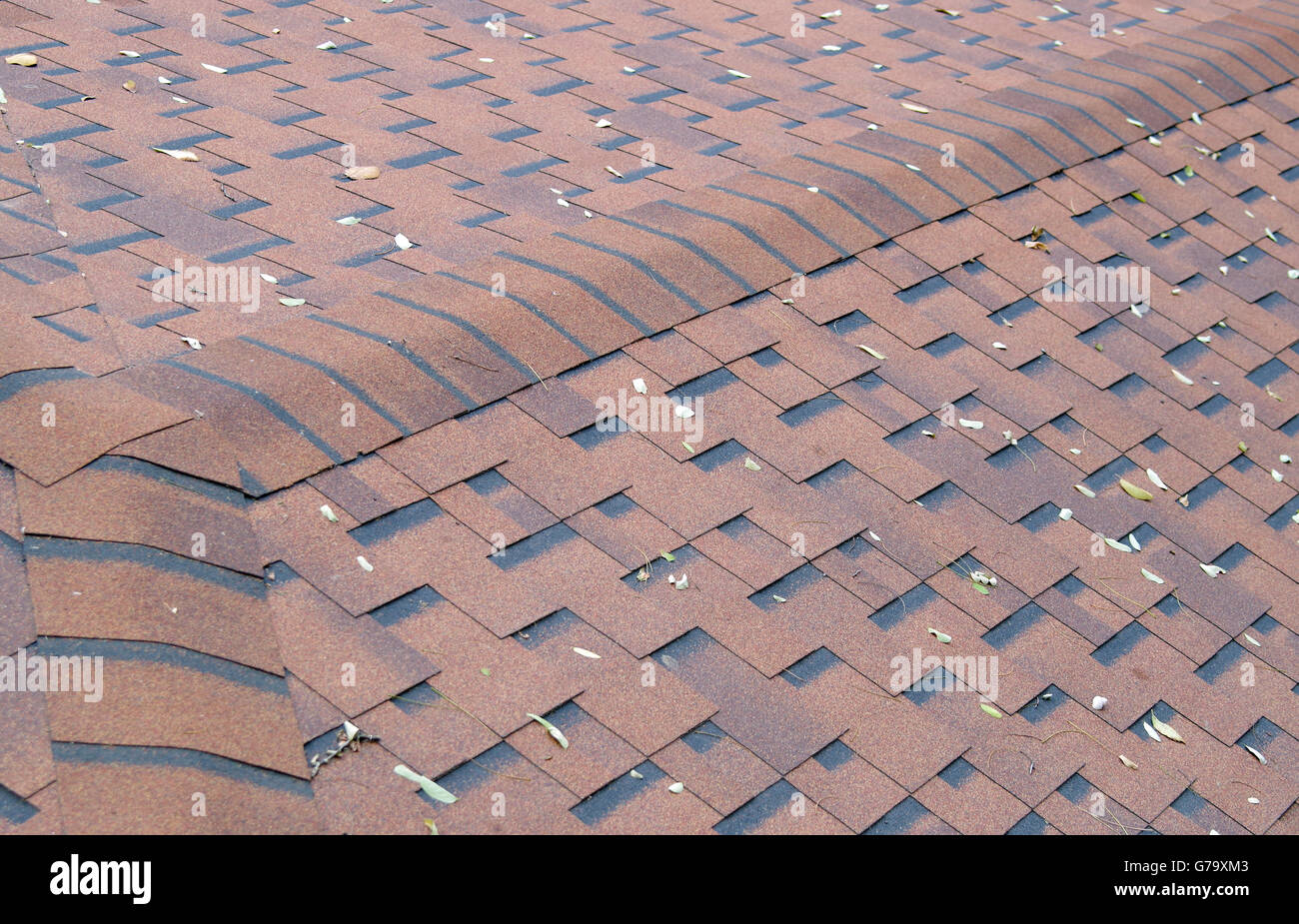 Vue de dessus de bardeaux de toit brun avec quelques feuilles tombées sur la surface. Focus sélectif avec un arrière-plan flou. Banque D'Images