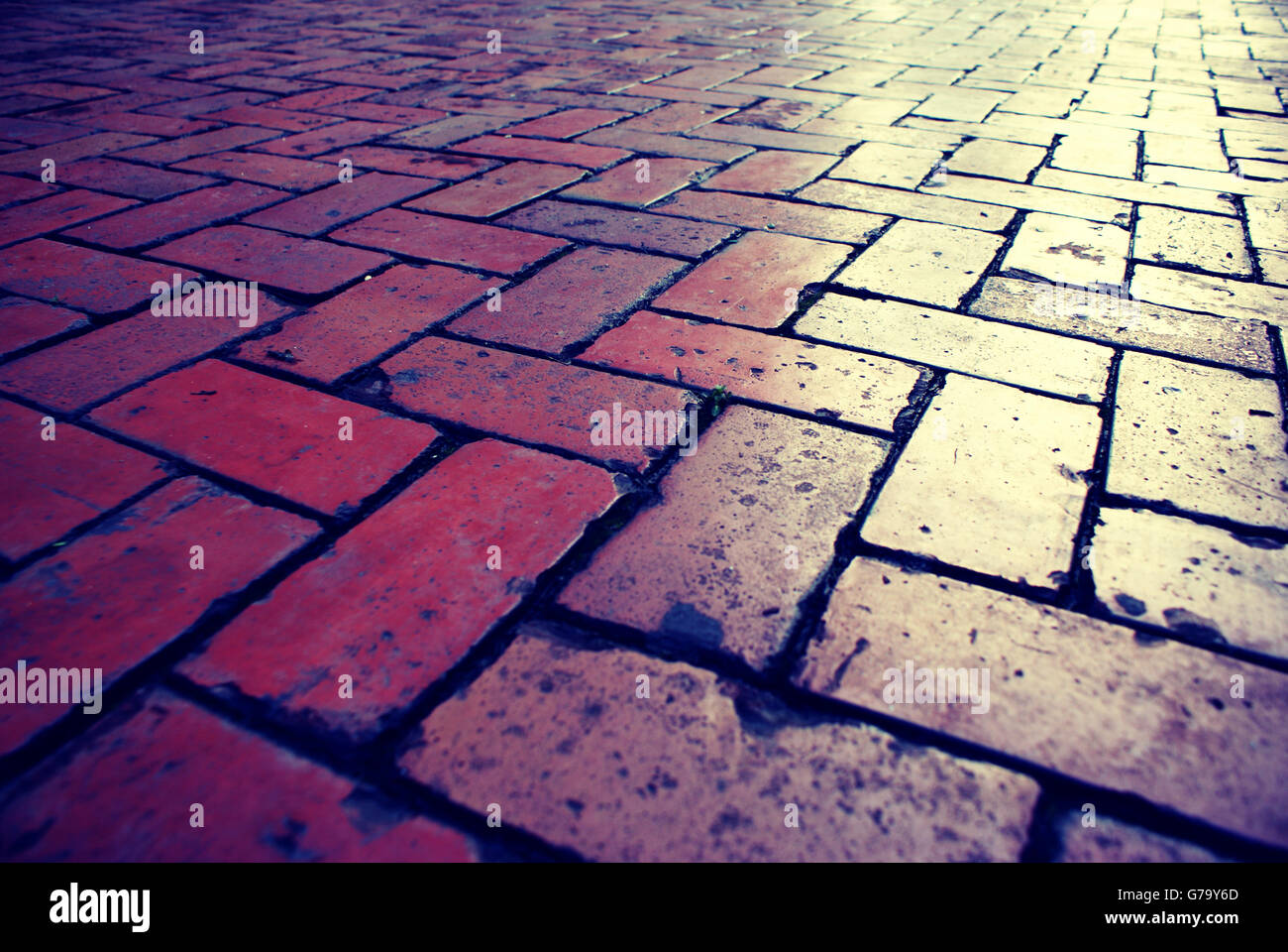 Photographie d'un sol en mosaïque Banque D'Images