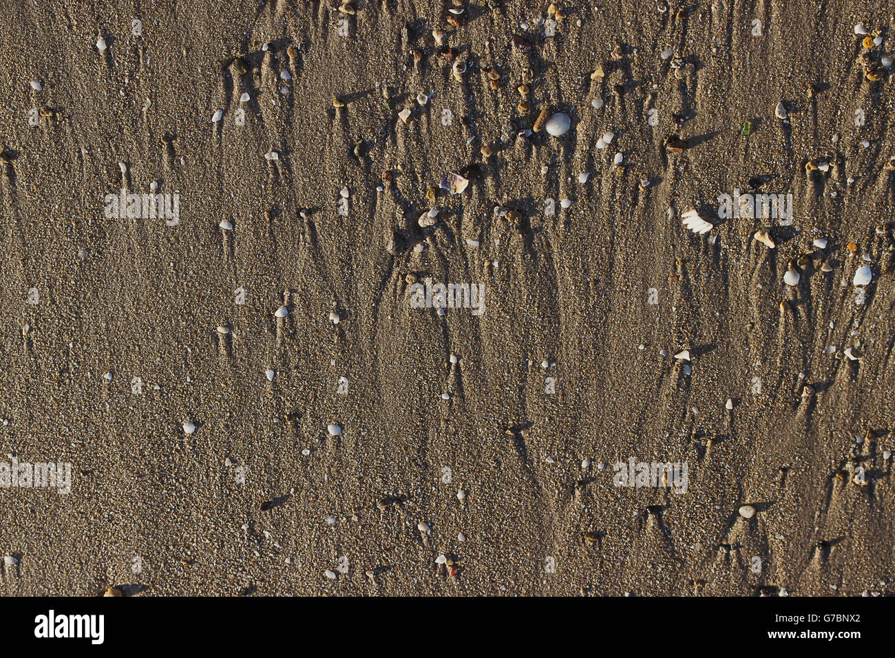 Texture à la plage de sable, galets fabriqués à partir de coquillages de mer et les petits Banque D'Images