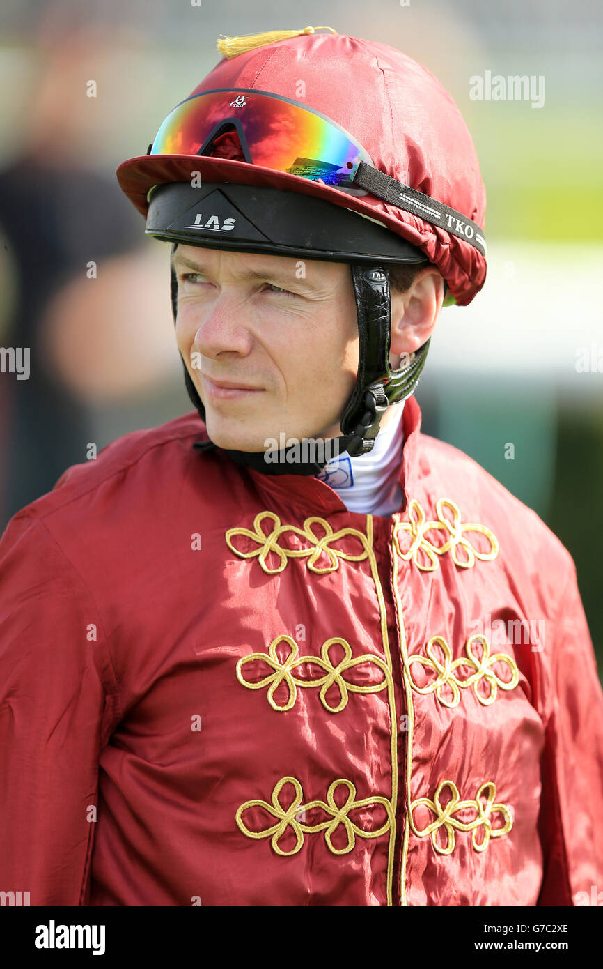 Courses hippiques -2014 Ladbrokes St Leger Festival - Ladies Day - Hippodrome de Doncaster. Jamie Spencer, jockey Banque D'Images