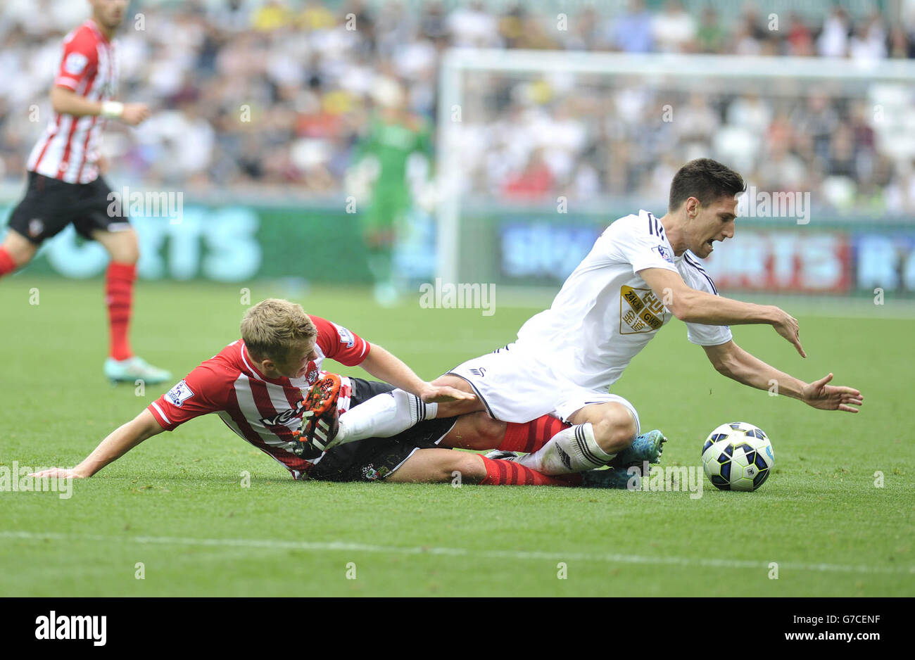 Federico Fernandez (à droite) de Swansea City et James Ward-Prowse de Southampton lors du match de la Barclays Premier League au Liberty Stadium, à Swansea.APPUYEZ SUR ASSOCIATION photo.Date de la photo: Samedi 20 septembre 2014.Voir PA Story FOOTBALL Swansea.Le crédit photo devrait indiquer : PA Wire. Banque D'Images
