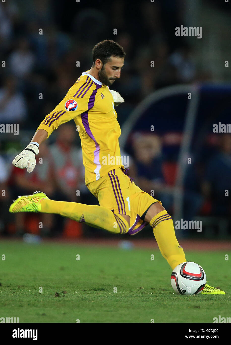 Gardien de but de Géorgie Giorgi Loria, lors de la qualification à l'UEFA Euro 2016, le match du Groupe D à la Boris Paichadze Dinamo Arena, Tbilissi. Banque D'Images