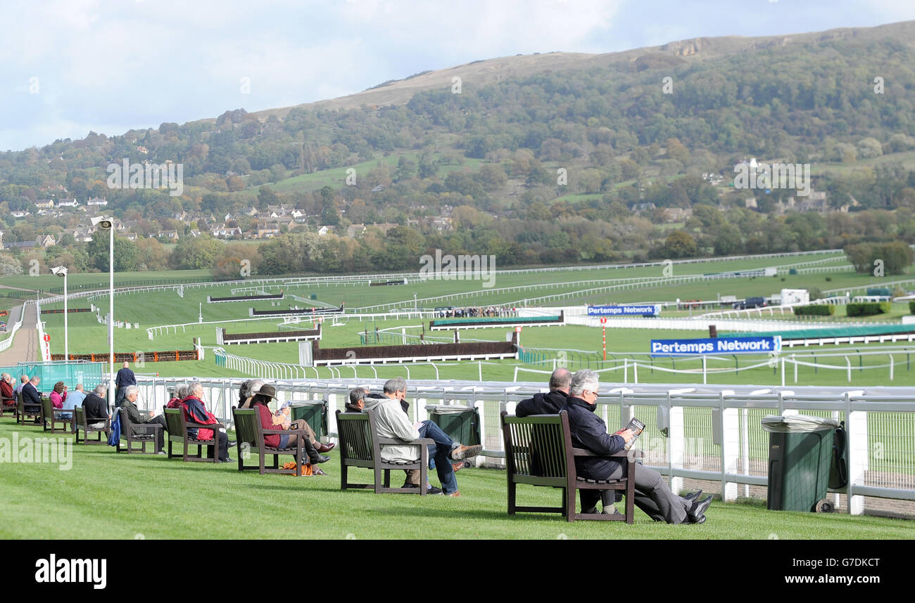 Les Racegoers sur les bancs des membres attendent que l'action commence au cours de la première journée de la rencontre Showcase 2014 à Cheltenham Racecourse, Cheltenham. Banque D'Images