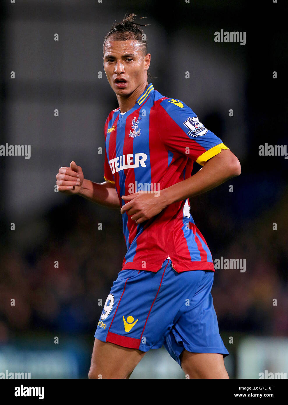 Soccer - Barclays Premier League - Crystal Palace v Sunderland - Selhurst Park Banque D'Images