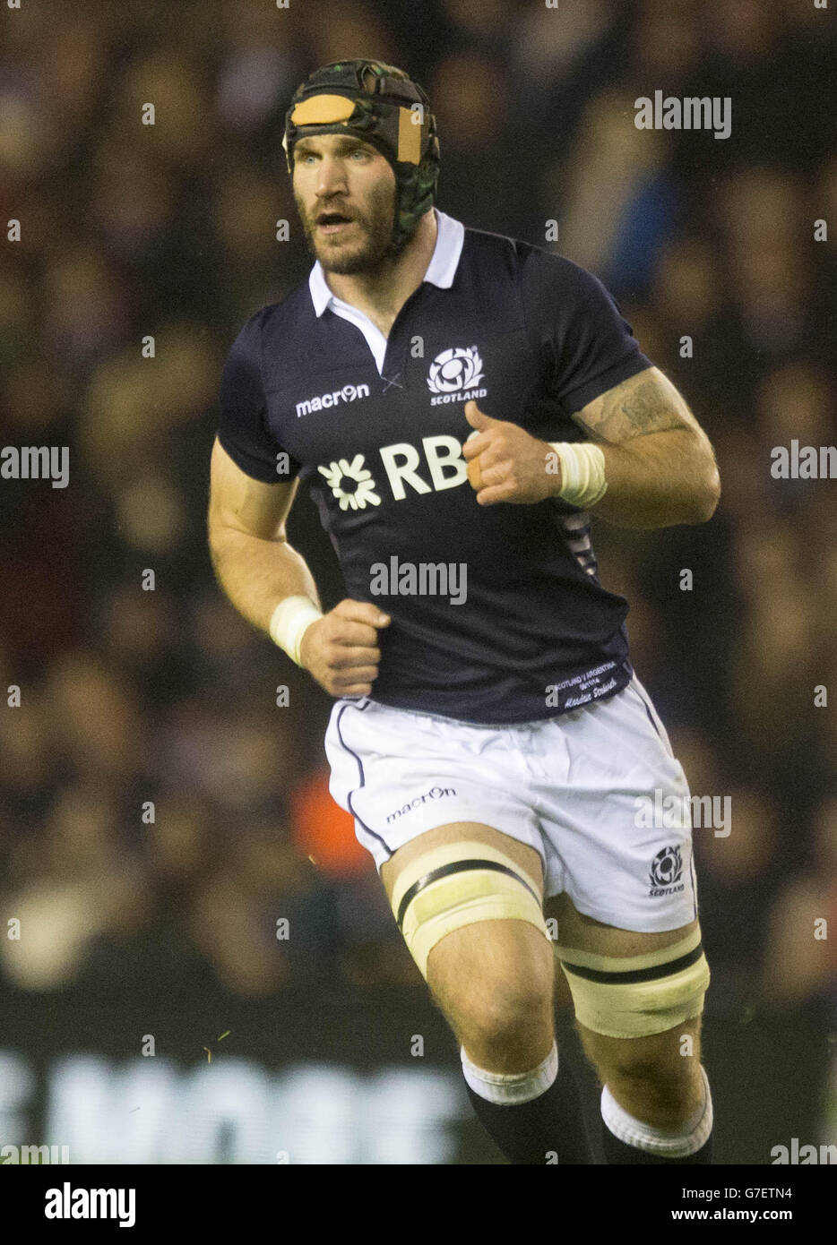 Alasdair Strokosch en Écosse lors du test d'automne du viagogo au stade BT Murrayfield, à Édimbourg. APPUYEZ SUR ASSOCIATION photo. Date de la photo: Samedi 8 novembre 2014. Voir l'histoire de PA RUGBYU Scotland. Le crédit photo devrait se lire : Jeff Holmes/PA Wire. Banque D'Images