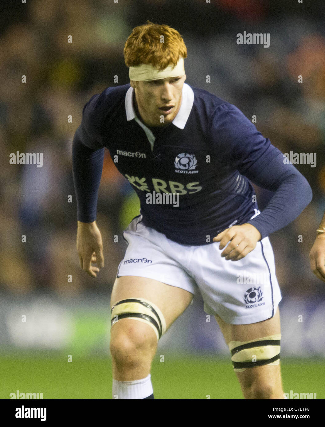 Robert Harley en Écosse pendant le test d'automne du viagogo au stade BT Murrayfield, à Édimbourg. APPUYEZ SUR ASSOCIATION photo. Date de la photo: Samedi 8 novembre 2014. Voir l'histoire de PA RUGBYU Scotland. Le crédit photo devrait se lire : Jeff Holmes/PA Wire. Banque D'Images