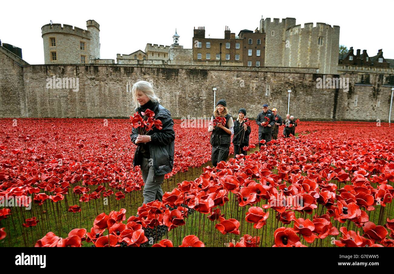 Un groupe de volontaires retire les coquelicots de l'accolades de la Tour de Londres, alors que les travaux commencent à démanteler l'installation des « terres balayées par le sang et des mers de Rouge » qui a capturé l'imagination de la Grande-Bretagne alors qu'elle commémorait le centenaire de la première Guerre mondiale. Banque D'Images