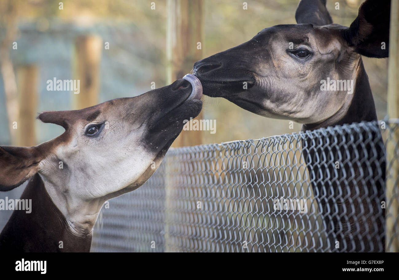 ils se rencontrent pour la première fois