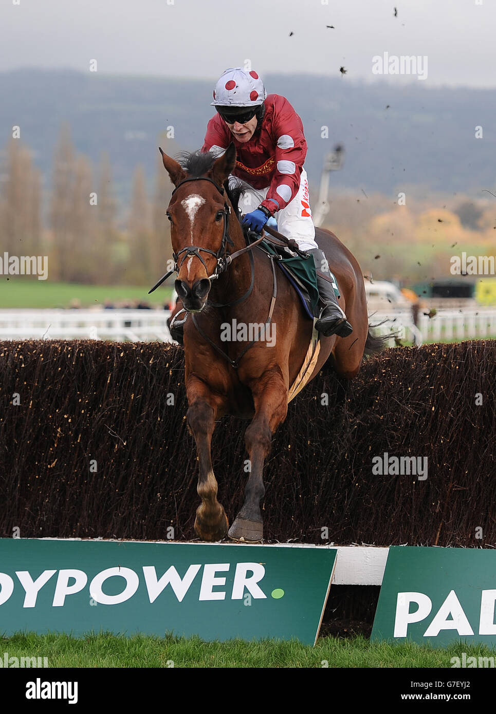 Kings Palace monté par Richard Johnson saute la dernière clôture pour gagner le Cheltenham Club novices Steeple Chase pendant le deuxième jour de l'Open à Cheltenham Racecourse. Banque D'Images