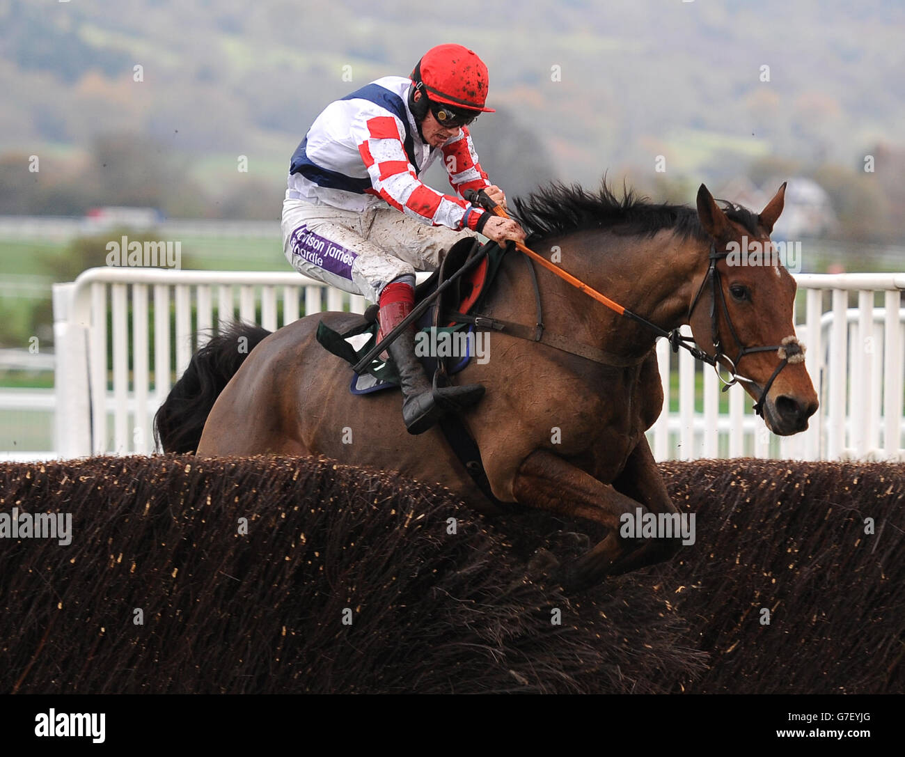 Sam Winner, monté par Sam Twiston-Davies saute la dernière clôture pour gagner le Murphy Group handicap Steeple Chase pendant le deuxième jour de l'Open à Cheltenham Racecourse. Banque D'Images
