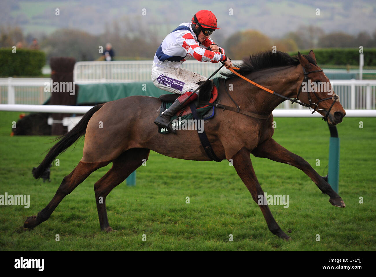 Sam Winner, monté par Sam Twiston-Davies, remporte le Murphy Group handicap Steeple Chase pendant le deuxième jour de l'Open à l'hippodrome de Cheltenham. Banque D'Images