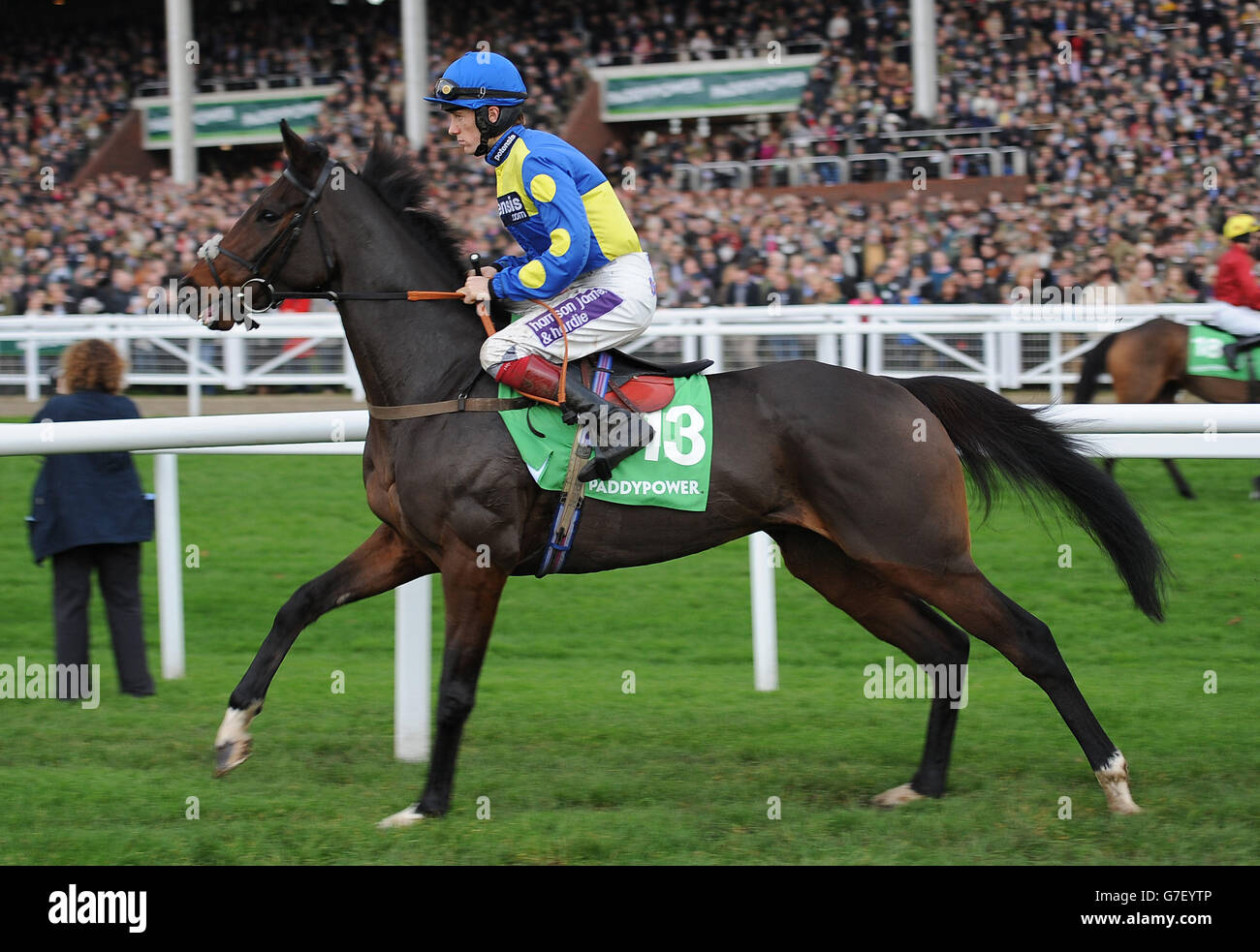 Sam Twiston-Davies, sur le chemin du caid du Berlais, a gagné la coupe d'or Paddy Power pendant le deuxième jour de l'Open à l'hippodrome de Cheltenham. Banque D'Images