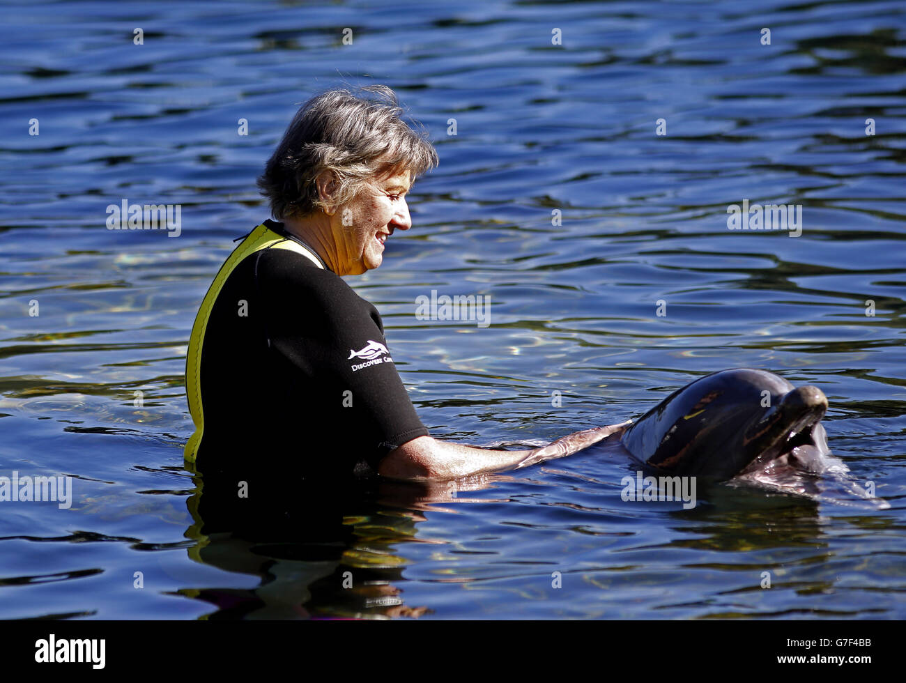 Pat Pearce, organisateur et ancien membre de l'équipage de cabine de British Airways, nage pour la première fois avec un dauphin lors du voyage caritatif DreamFlight à Discovery Cove à Orlando, en Floride. Banque D'Images