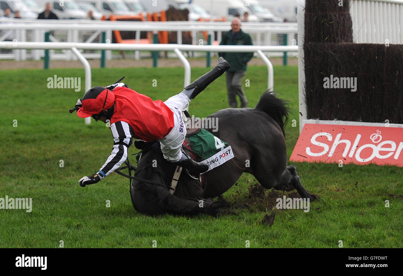 Le duc de Navan, monté par Brian Harding, tombe à la dernière clôture de la course après le Trophée d'Arkle Trial novices Steeple Chase pendant le troisième jour de l'Open à Cheltenham Racecourse. Banque D'Images