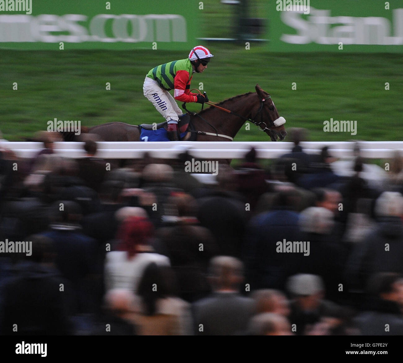Le Red, criblé de Richard Johnson, remporte le « High Sheriff of Gloucestershire's » Standard Open National Hunt Flat Race pendant le troisième jour de l'Open de Cheltenham Racecourse. Banque D'Images