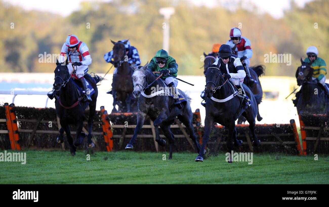 Les courses de chevaux - United House Group Raceday - Ascot Racecourse Banque D'Images