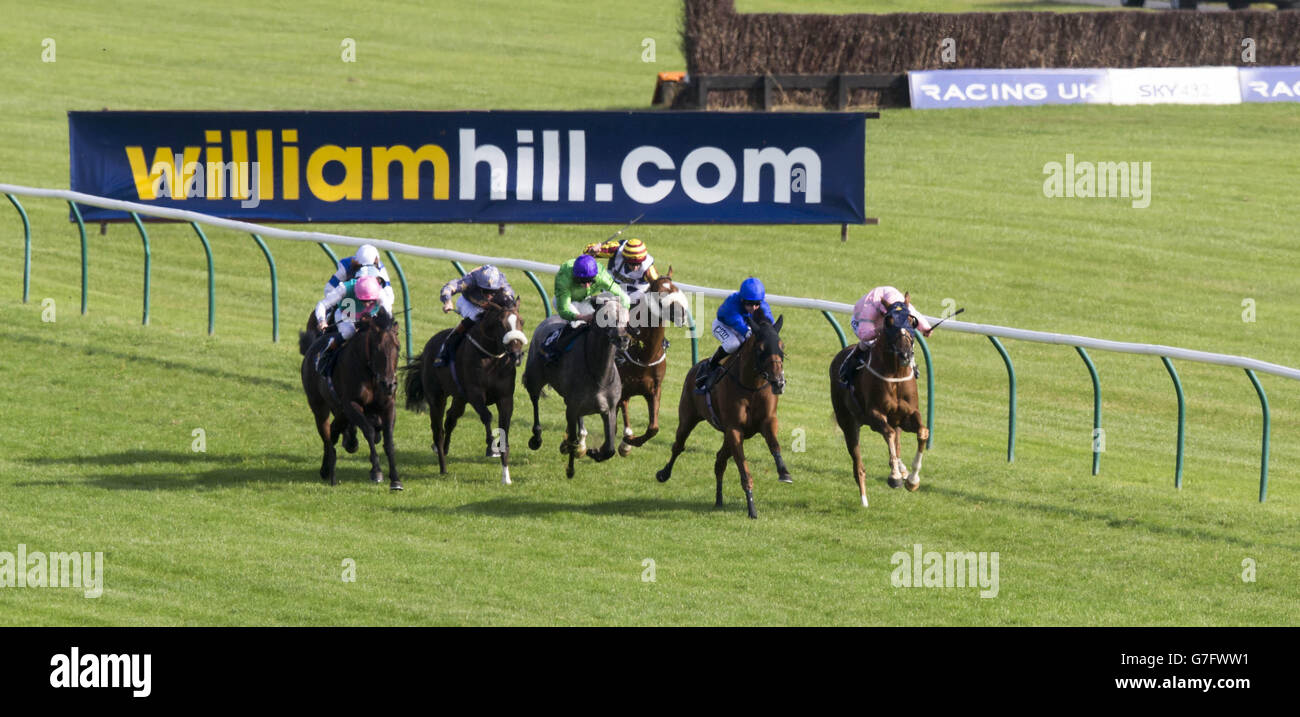 Les courses de chevaux - William Hill Ayr Gold Cup Coupe d'or Festival - Jour - Ayr Racecourse Banque D'Images