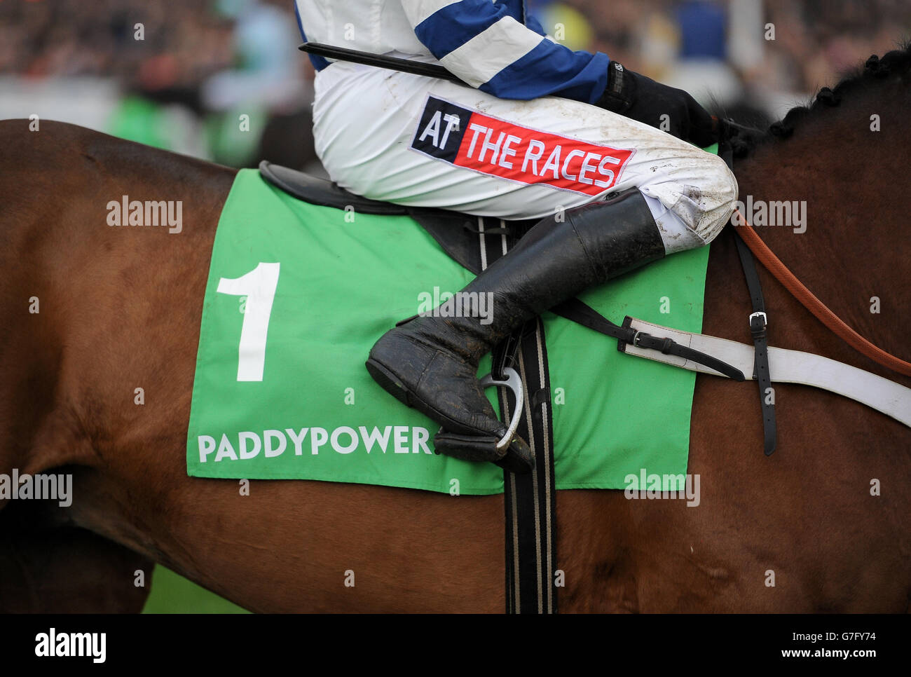Détail d'un selllecloth avec la marque Paddypower à Cheltenham Racecourse Banque D'Images
