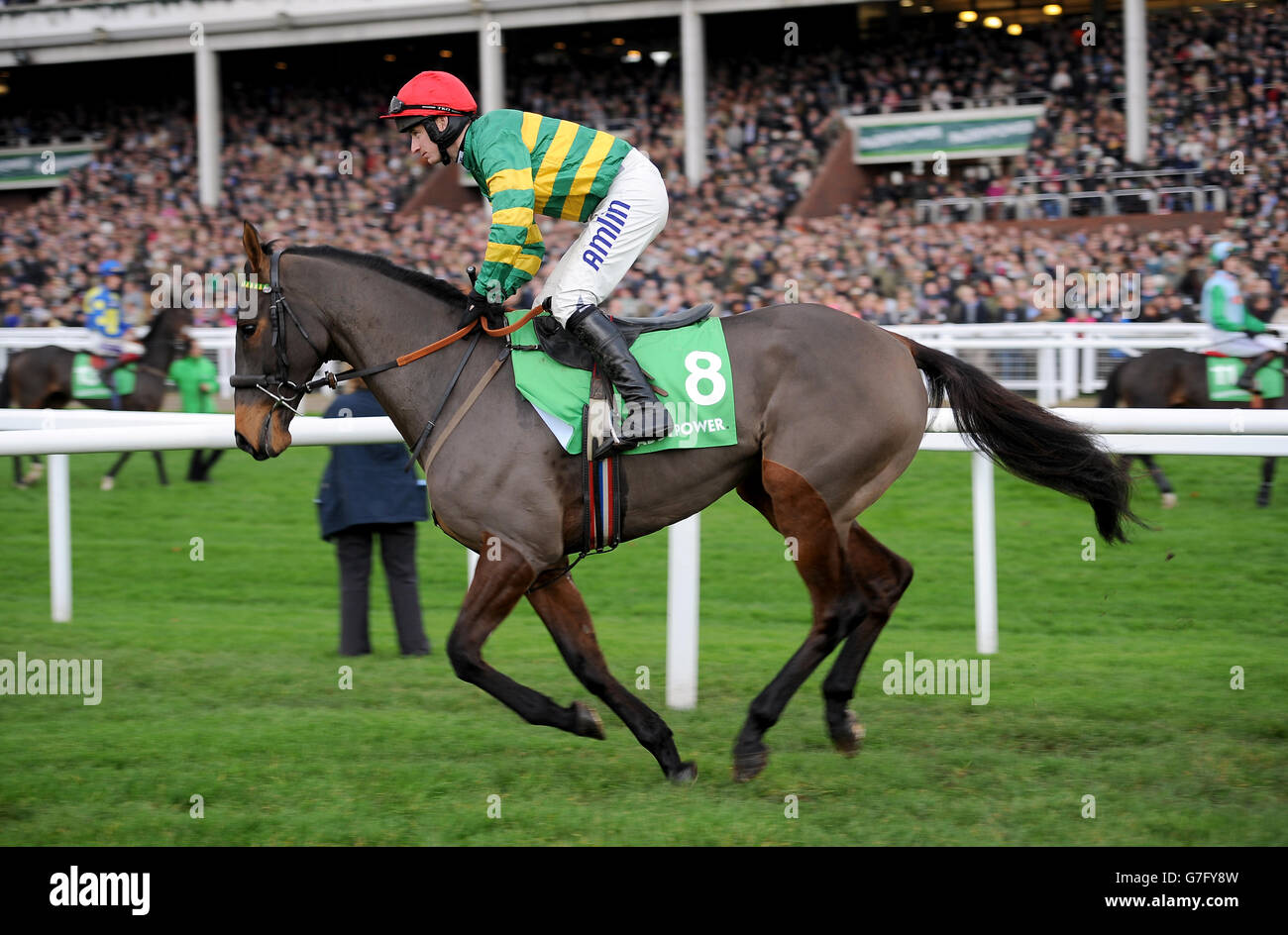Les courses de chevaux - l'ouvrir - Jour deux - l'Hippodrome de Cheltenham Banque D'Images