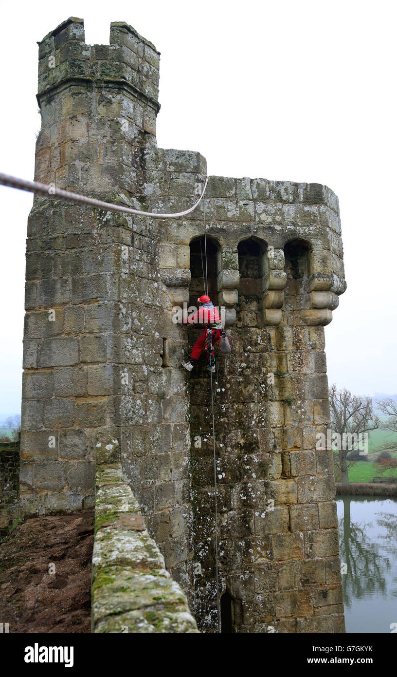 Sam Milford un technicien d'accès à la corde ou un « marcheur mural » de la société Highline Access Ltd, spécialisée de Bristol, enlève les mauvaises herbes à la main des murs du château de Bodiam près de Robertsbridge, East Sussex. Banque D'Images