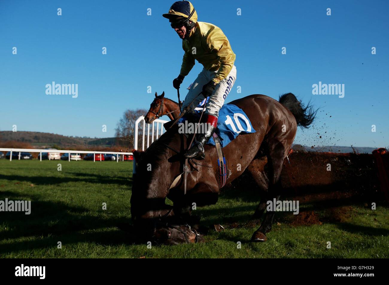 Courses hippiques - Hippodrome de Ludlow.Richard Johnson est un faller sur Pembridge dans le Jenkinsons Catering novices&acute; se réclamant de l'obstacle à l'hippodrome de Ludlow, Shropshire. Banque D'Images