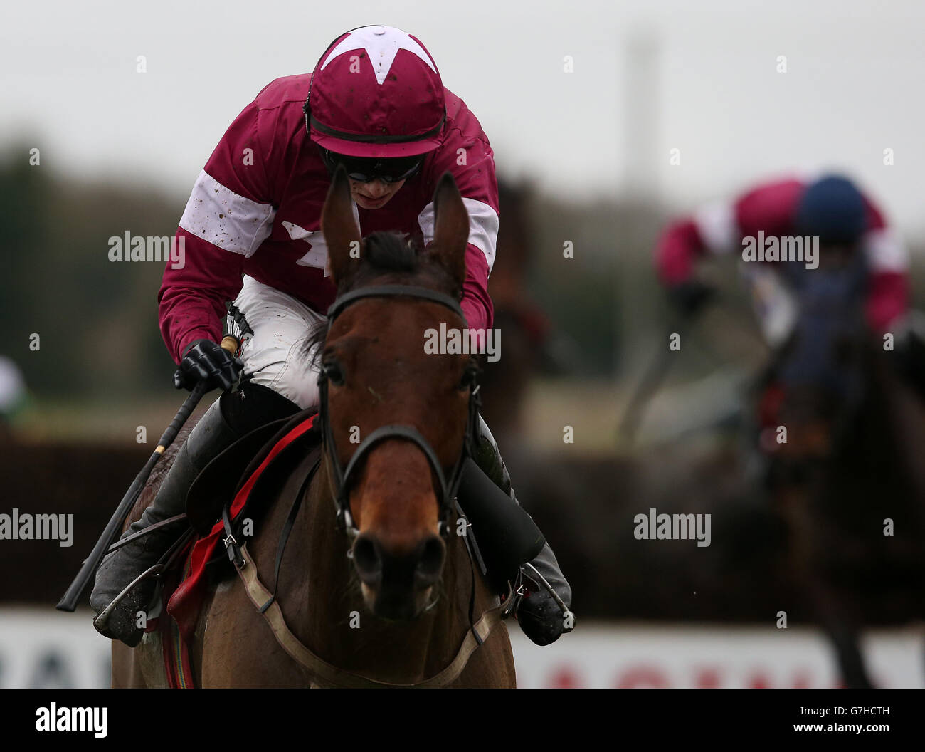 Les courses de chevaux - Bar 1 jour Grace Hattons - Hippodrome Fairyhouse Banque D'Images