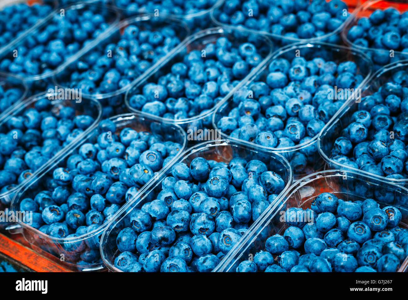 Baies Bleu bleuet bleuets frais aux conditions du marché dans les bacs Banque D'Images