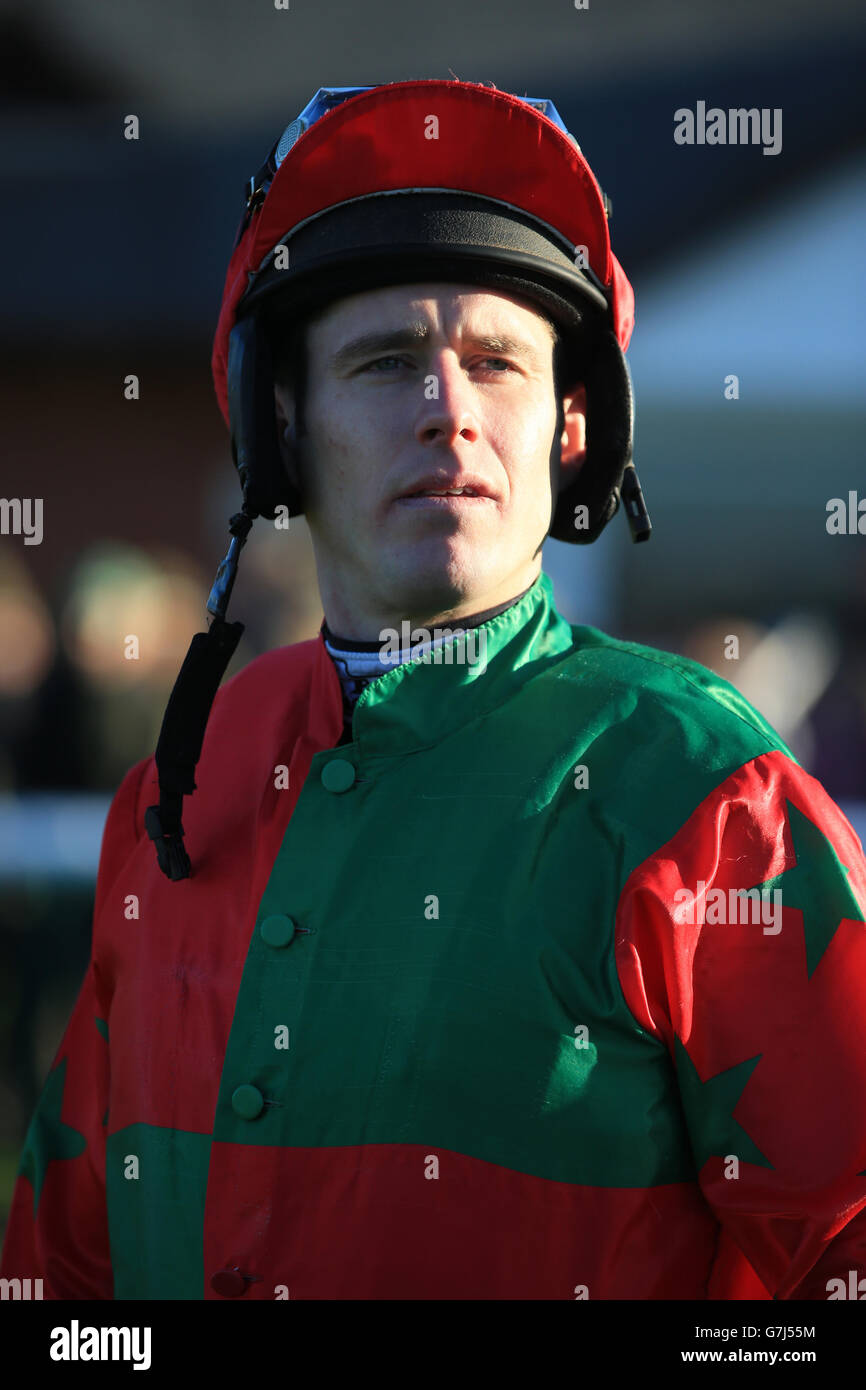 Les courses de chevaux - Bangor-sur-Dee Hippodrome Banque D'Images