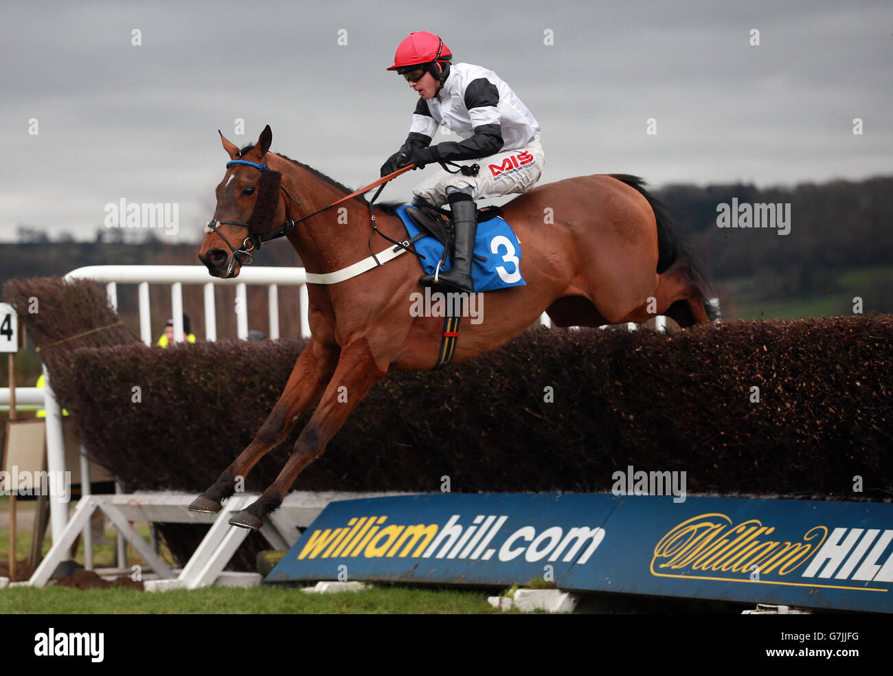 Courses hippiques - Hippodrome de Ludlow. Limited handicap Chase à l'hippodrome de Ludlow, Ludlow. Banque D'Images