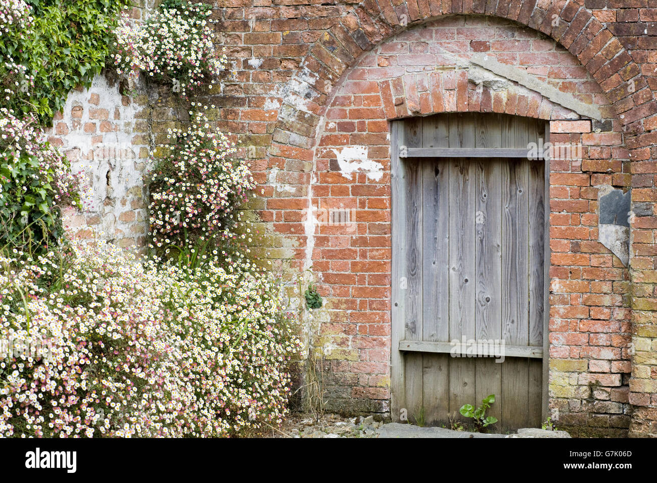 Porte de jardin en bois situé dans un mur de brique dans un jardin clos Banque D'Images